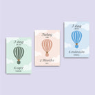 Baby month cards ∙ Air Balloon (Digital) - Bergmann Studio