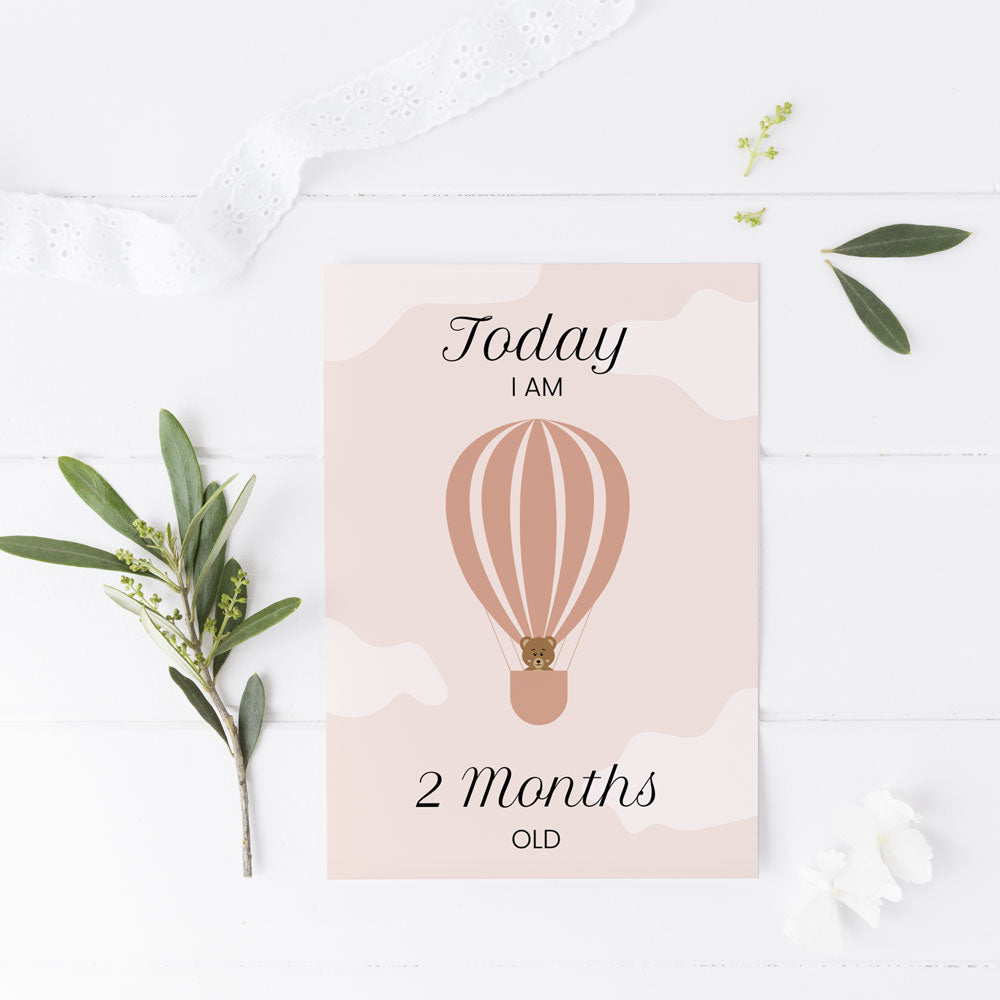 Baby month cards ∙ Air Balloon (Digital) - Bergmann Studio