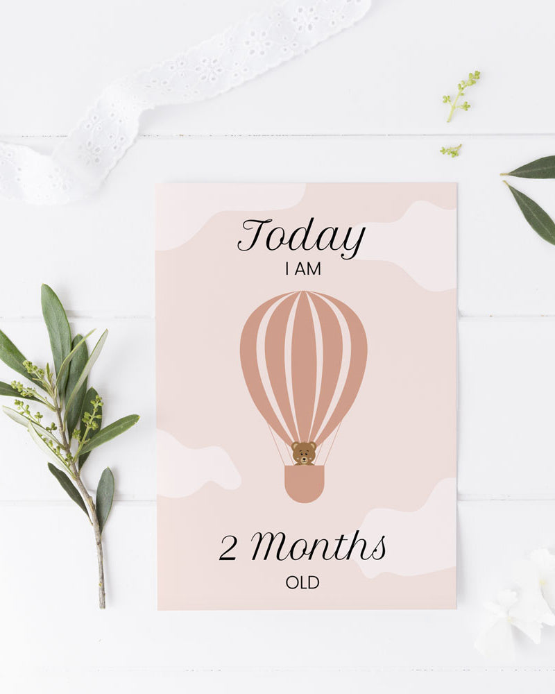 Baby month cards ∙ Air Balloon (Digital) - Bergmann Studio