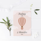 Baby month cards ∙ Air Balloon (Digital) - Bergmann Studio